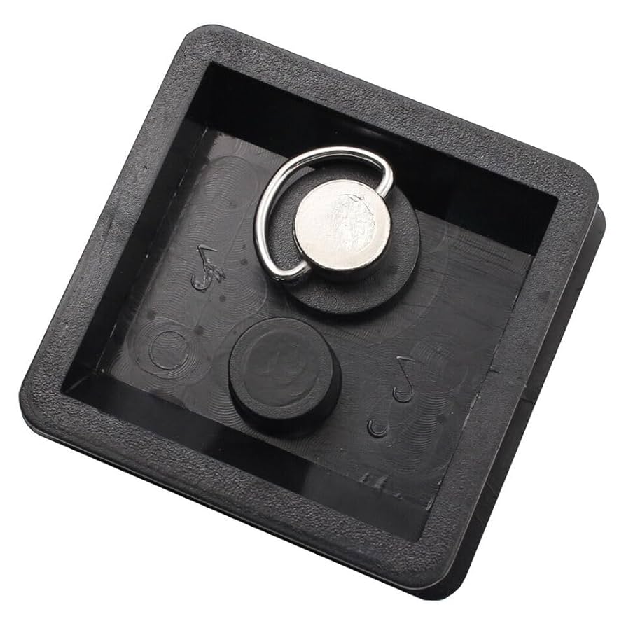Amazon.com : Camera Quick Release Plate Fit for Quantaray